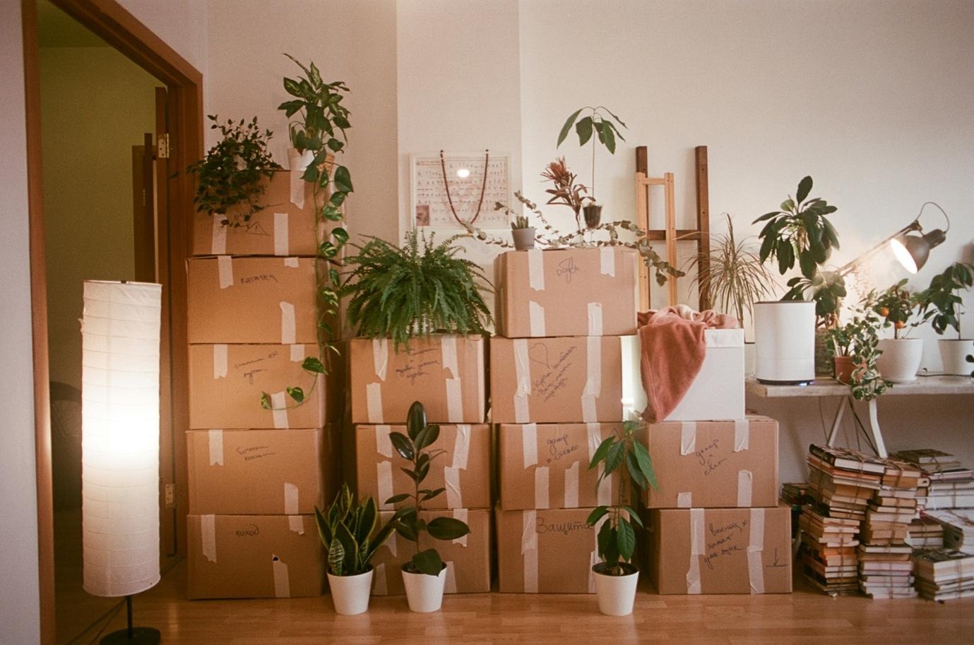 Downsizing Your Home: Where to Start and How to Make the Process Easier
